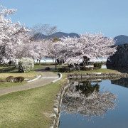 Looking north towards the mountains