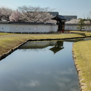 View from the tea garden