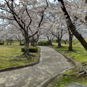 Inside the outer walls