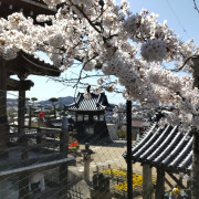 Nyoirinji (如意輪寺) is at the start of the trail