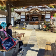 Guardians at the lower gate of Nyoirinji