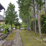 garden path