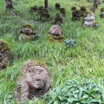 Grassland figures