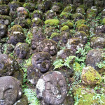 Moss and lichen for hair