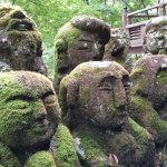 The many faces of devotion