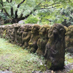 Legions of devout followers