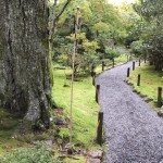 Mossy gardens of Tenryuji